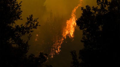 Wildfire in Greece