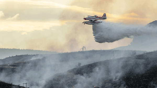 Plane putting out forest fire