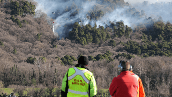 People watching plane putting out forest fire