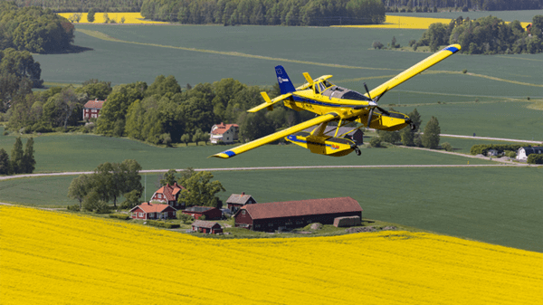 Yellow plane flying over sunflower field