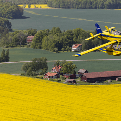 Yellow plane flying over sunflower field