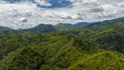 Indonesian countryside